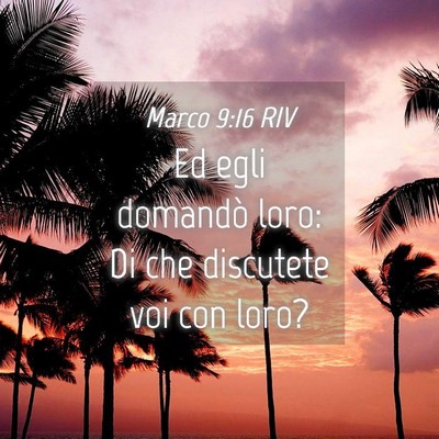 Picture 04 - Marco 9:16 RIV - Ed egli domandò loro: Di che discutete voi con - Bible Verse Picture