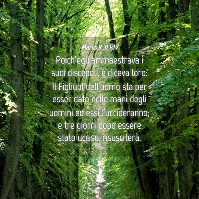 Picture 04 - Marco 9:31 RIV - Poich’egli ammaestrava i suoi discepoli, e - Bible Verse Picture