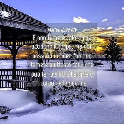 Picture 04 - Matteo 10:28 RIV - E non temete coloro che uccidono il corpo, ma non - Bible Verse Picture