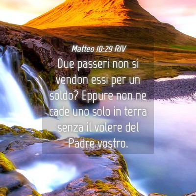 Picture 04 - Matteo 10:29 RIV - Due passeri non si vendon essi per un soldo? - Bible Verse Picture