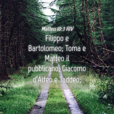 Picture 04 - Matteo 10:3 RIV - Filippo e Bartolomeo; Toma e Matteo il - Bible Verse Picture