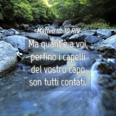 Picture 04 - Matteo 10:30 RIV - Ma quant’è a voi, perfino i capelli del vostro - Bible Verse Picture