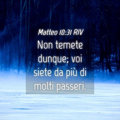 Picture 04 - Matteo 10:31 RIV - Non temete dunque; voi siete da più di molti - Bible Verse Picture