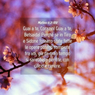 Picture 04 - Matteo 11:21 RIV - Guai a te, Corazin! Guai a te, Betsaida! Perché - Bible Verse Picture