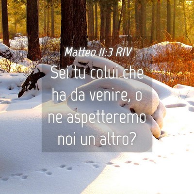 Picture 04 - Matteo 11:3 RIV - Sei tu colui che ha da venire, o ne aspetteremo - Bible Verse Picture