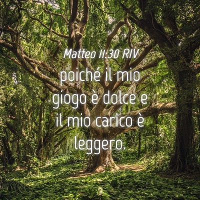 Picture 04 - Matteo 11:30 RIV - poiché il mio giogo è dolce e il mio carico è - Bible Verse Picture