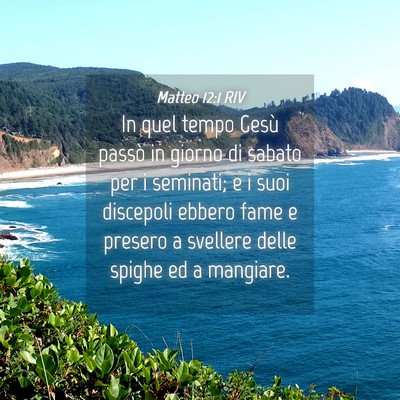 Picture 04 - Matteo 12:1 RIV - In quel tempo Gesù passò in giorno di sabato - Bible Verse Picture