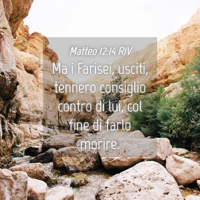 Picture 04 - Matteo 12:14 RIV - Ma i Farisei, usciti, tennero consiglio contro di - Bible Verse Picture