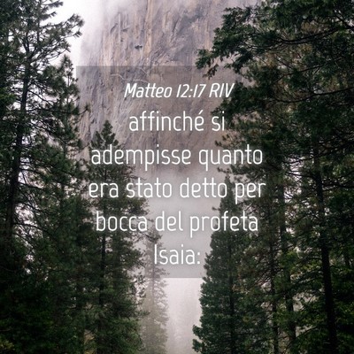Picture 04 - Matteo 12:17 RIV - affinché si adempisse quanto era stato detto per - Bible Verse Picture