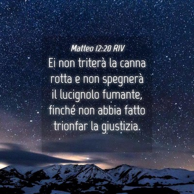 Picture 04 - Matteo 12:20 RIV - Ei non triterà la canna rotta e non spegnerà il - Bible Verse Picture