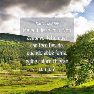 Picture 04 - Matteo 12:3 RIV - Ma egli disse loro: Non avete voi letto quel che - Bible Verse Picture