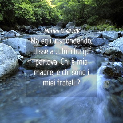 Picture 04 - Matteo 12:48 RIV - Ma egli, rispondendo, disse a colui che gli - Bible Verse Picture