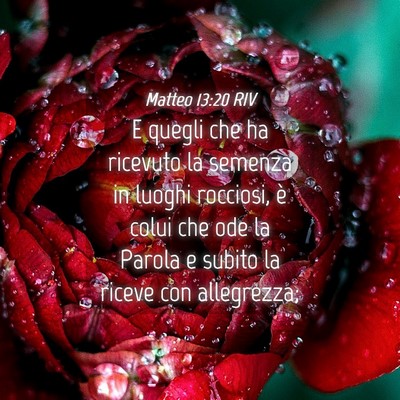 Picture 04 - Matteo 13:20 RIV - E quegli che ha ricevuto la semenza in luoghi - Bible Verse Picture