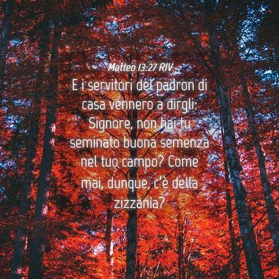 Picture 04 - Matteo 13:27 RIV - E i servitori del padron di casa vennero a - Bible Verse Picture