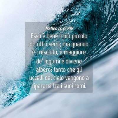 Picture 04 - Matteo 13:32 RIV - Esso è bene il più piccolo di tutti i semi; ma - Bible Verse Picture