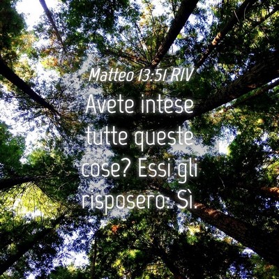 Picture 04 - Matteo 13:51 RIV - Avete intese tutte queste cose? Essi gli - Bible Verse Picture