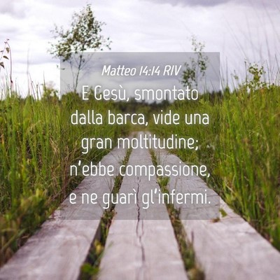 Picture 04 - Matteo 14:14 RIV - E Gesù, smontato dalla barca, vide una gran - Bible Verse Picture