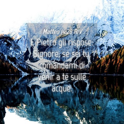 Picture 04 - Matteo 14:28 RIV - E Pietro gli rispose: Signore, se sei tu, - Bible Verse Picture