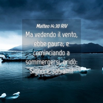 Picture 04 - Matteo 14:30 RIV - Ma vedendo il vento, ebbe paura; e cominciando a - Bible Verse Picture