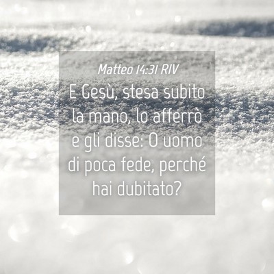 Picture 04 - Matteo 14:31 RIV - E Gesù, stesa subito la mano, lo afferrò e gli - Bible Verse Picture