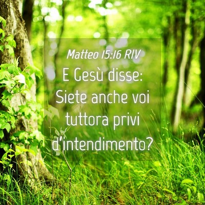Picture 04 - Matteo 15:16 RIV - E Gesù disse: Siete anche voi tuttora privi - Bible Verse Picture