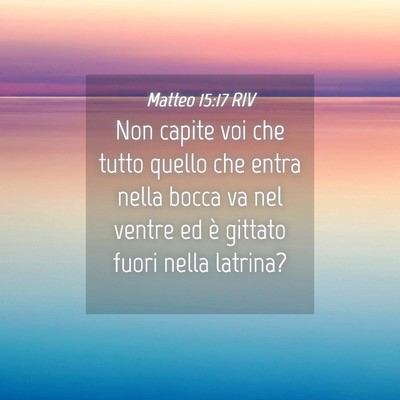 Picture 04 - Matteo 15:17 RIV - Non capite voi che tutto quello che entra nella - Bible Verse Picture