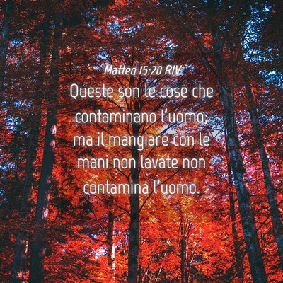 Picture 04 - Matteo 15:20 RIV - Queste son le cose che contaminano l’uomo; ma - Bible Verse Picture