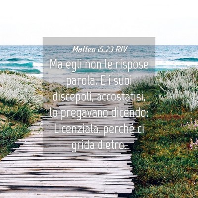 Picture 04 - Matteo 15:23 RIV - Ma egli non le rispose parola. E i suoi - Bible Verse Picture