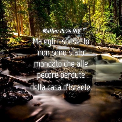 Picture 04 - Matteo 15:24 RIV - Ma egli rispose: Io non sono stato mandato che - Bible Verse Picture