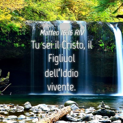 Picture 04 - Matteo 16:16 RIV - Tu sei il Cristo, il Figliuol dell’Iddio - Bible Verse Picture