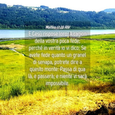 Picture 04 - Matteo 17:20 RIV - E Gesù rispose loro: A cagion della vostra poca - Bible Verse Picture