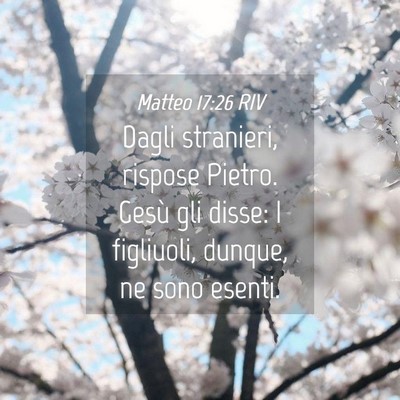 Picture 04 - Matteo 17:26 RIV - Dagli stranieri, rispose Pietro. Gesù gli disse: - Bible Verse Picture
