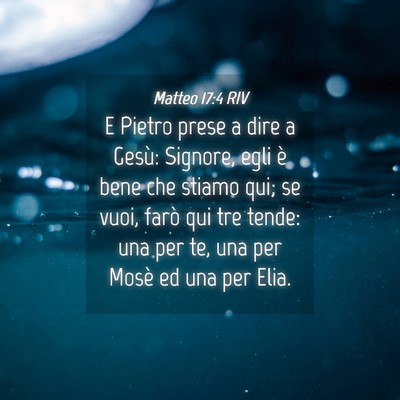 Picture 04 - Matteo 17:4 RIV - E Pietro prese a dire a Gesù: Signore, egli è - Bible Verse Picture