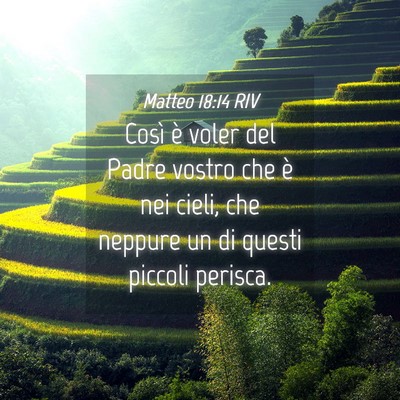Picture 04 - Matteo 18:14 RIV - Così è voler del Padre vostro che è nei cieli, - Bible Verse Picture