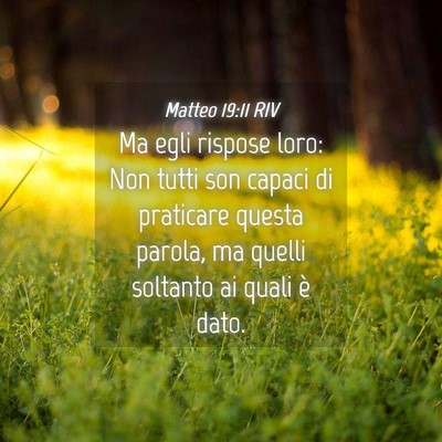 Picture 04 - Matteo 19:11 RIV - Ma egli rispose loro: Non tutti son capaci di - Bible Verse Picture