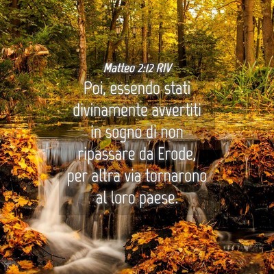 Picture 04 - Matteo 2:12 RIV - Poi, essendo stati divinamente avvertiti in sogno - Bible Verse Picture