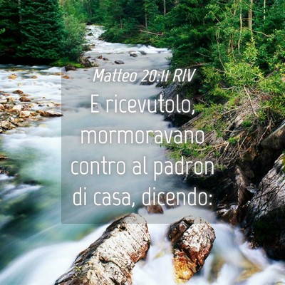 Picture 04 - Matteo 20:11 RIV - E ricevutolo, mormoravano contro al padron di - Bible Verse Picture
