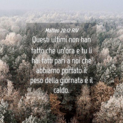 Picture 04 - Matteo 20:12 RIV - Questi ultimi non han fatto che un’ora e tu li - Bible Verse Picture