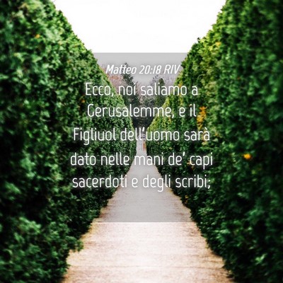 Picture 04 - Matteo 20:18 RIV - Ecco, noi saliamo a Gerusalemme, e il Figliuol - Bible Verse Picture
