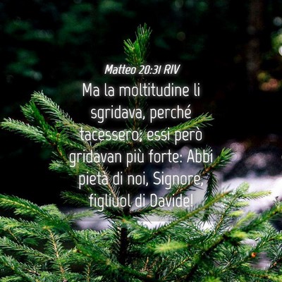 Picture 04 - Matteo 20:31 RIV - Ma la moltitudine li sgridava, perché tacessero; - Bible Verse Picture
