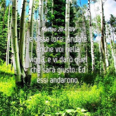 Picture 04 - Matteo 20:4 RIV - e disse loro: Andate anche voi nella vigna, e vi - Bible Verse Picture