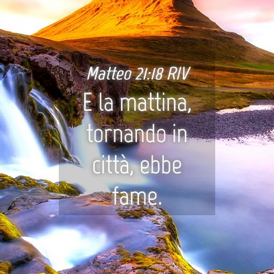 Picture 04 - Matteo 21:18 RIV - E la mattina, tornando in città, ebbe - Bible Verse Picture