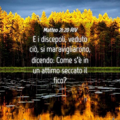 Picture 04 - Matteo 21:20 RIV - E i discepoli, veduto ciò, si maravigliarono, - Bible Verse Picture