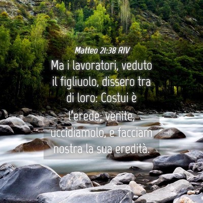 Picture 04 - Matteo 21:38 RIV - Ma i lavoratori, veduto il figliuolo, dissero tra - Bible Verse Picture
