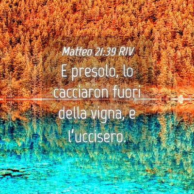 Picture 04 - Matteo 21:39 RIV - E presolo, lo cacciaron fuori della vigna, e - Bible Verse Picture