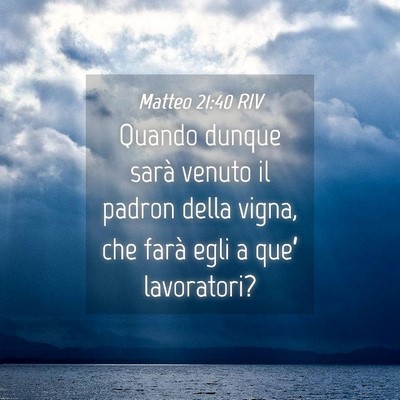 Picture 04 - Matteo 21:40 RIV - Quando dunque sarà venuto il padron della vigna, - Bible Verse Picture