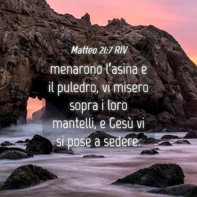 Picture 04 - Matteo 21:7 RIV - menarono l’asina e il puledro, vi misero sopra - Bible Verse Picture