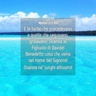 Picture 04 - Matteo 21:9 RIV - E le turbe che precedevano e quelle che - Bible Verse Picture