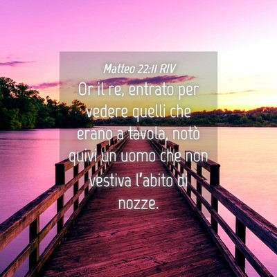 Picture 04 - Matteo 22:11 RIV - Or il re, entrato per vedere quelli che erano a - Bible Verse Picture