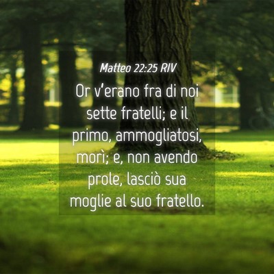 Picture 04 - Matteo 22:25 RIV - Or v’erano fra di noi sette fratelli; e il - Bible Verse Picture